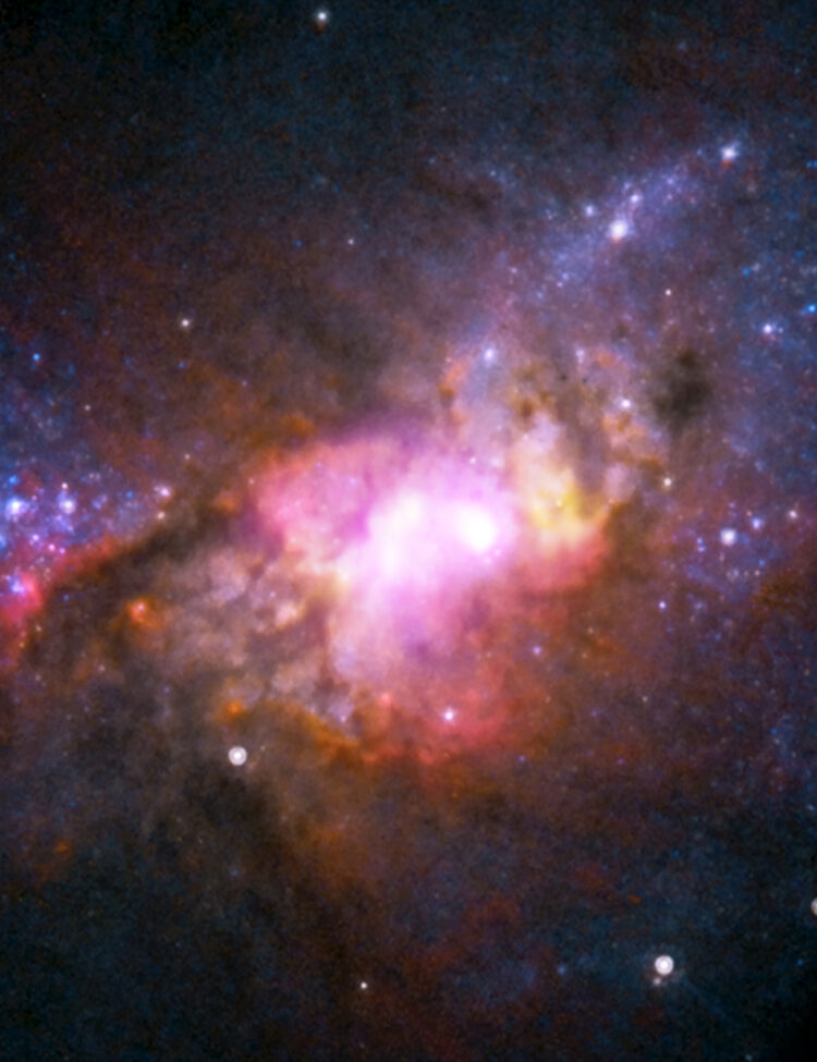 Combined observations from Chandra (purple), the Very Large Array (yellow) along with Hubble (red, green, and blue) have provided astronomers with a detailed new look at how galaxy and black hole formation may have occurred in the early Universe. The lack of a significant bulge of stars in the center of Henize 2-10, a galaxy with similar properties to those when the Universe was very young, indicates that black hole growth may be preceding the growth of the bulge. This differs from the relatively nearby Universe where the growth of galaxy bulges and supermassive black holes appear to happen in parallel.