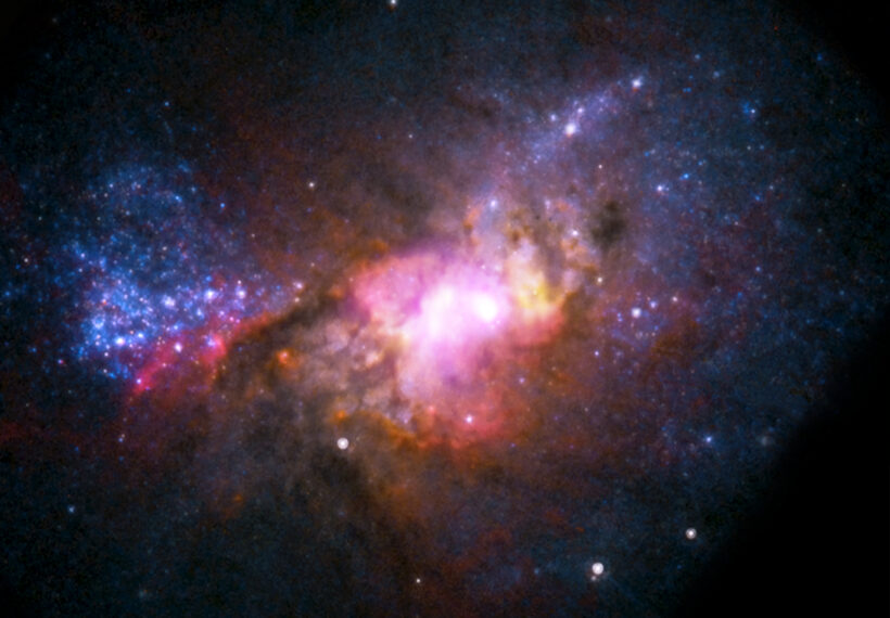 Combined observations from Chandra (purple), the Very Large Array (yellow) along with Hubble (red, green, and blue) have provided astronomers with a detailed new look at how galaxy and black hole formation may have occurred in the early Universe. The lack of a significant bulge of stars in the center of Henize 2-10, a galaxy with similar properties to those when the Universe was very young, indicates that black hole growth may be preceding the growth of the bulge. This differs from the relatively nearby Universe where the growth of galaxy bulges and supermassive black holes appear to happen in parallel.