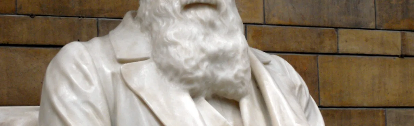 Statue of Charles Darwin in the Natural History Museum, London. The statue was created by Sir Joseph Boehm and was unveiled on 9 June 1885.