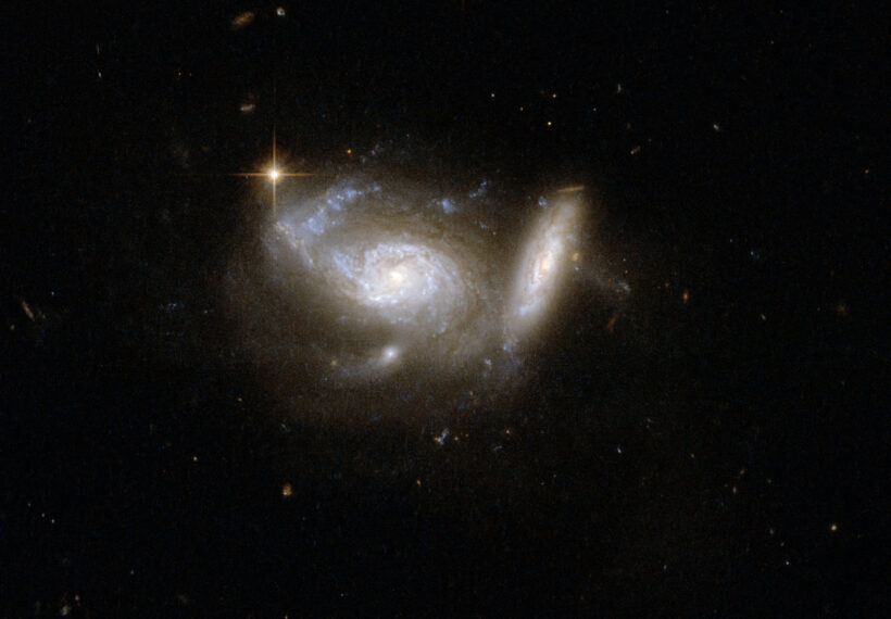 ESO 550-2 shows a pair of spiral galaxies, the larger nearly face-on and accompanied by a smaller, highly tilted partner. Tidal interaction from the smaller companion has clearly deformed one arm of the larger galaxy. Strong star formation continues both in the deformed arm and in a ring structure around the galaxy's core. The pair is surrounded by the glow of faintly shining stars and interstellar matter that has been smeared through space by the gravitational effects of the collision and the pull of a third nearby galaxy.