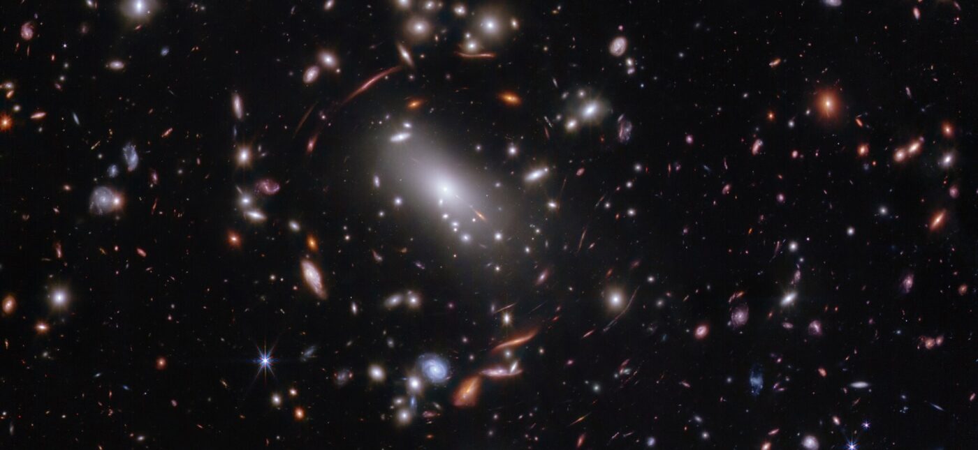 Thousands of glimmering galaxies are bound together by their own gravity, making up a massive cluster formally classified as MACS J1423.