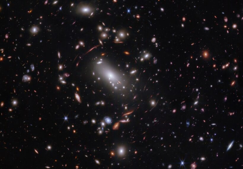Thousands of glimmering galaxies are bound together by their own gravity, making up a massive cluster formally classified as MACS J1423.
