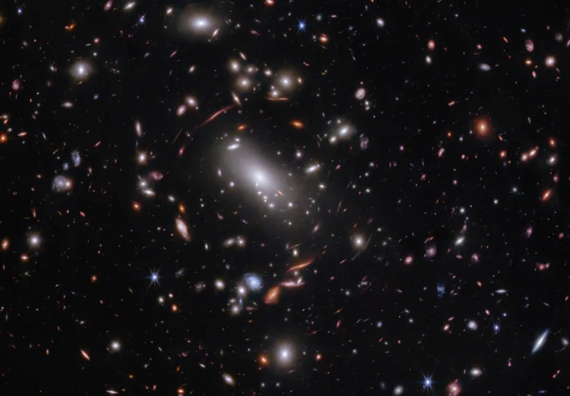 Thousands of glimmering galaxies are bound together by their own gravity, making up a massive cluster formally classified as MACS J1423.