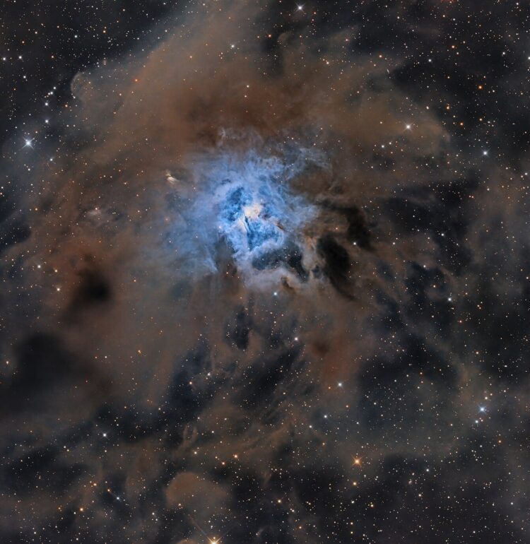 NGC 7023 -The Iris Nebula is a bright reflection nebula in the constellation Cepheus.