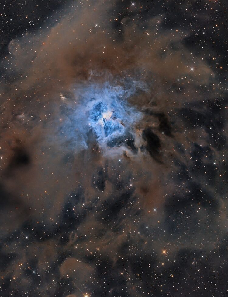 NGC 7023 -The Iris Nebula is a bright reflection nebula in the constellation Cepheus.