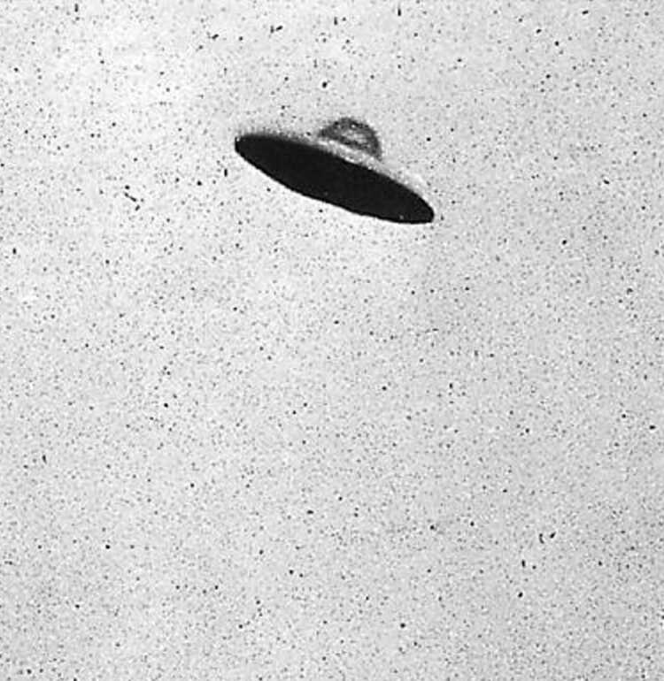 monotone non horizontal view of a supposed curvilinear centrally domed UFO relatively motionless (no blur) above an electrocommunications pole plus cables with deciduous trees.