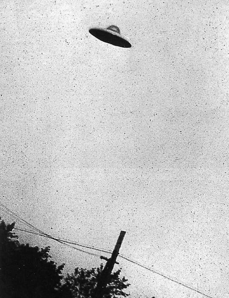 monotone non horizontal view of a supposed curvilinear centrally domed UFO relatively motionless (no blur) above an electrocommunications pole plus cables with deciduous trees.