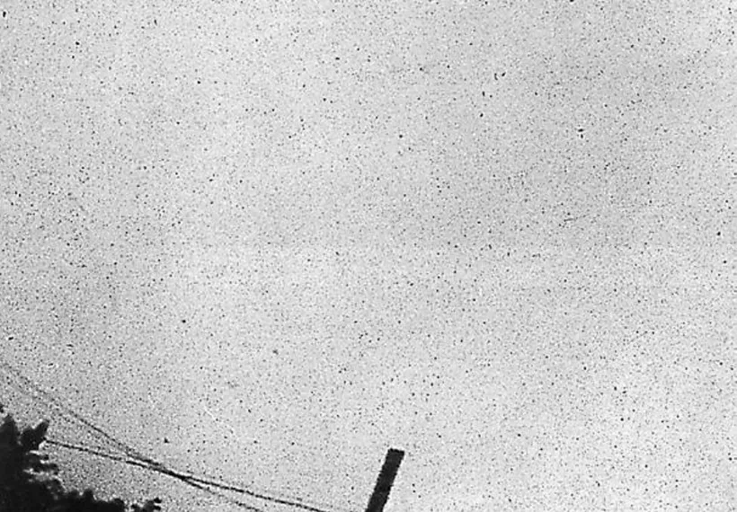 monotone non horizontal view of a supposed curvilinear centrally domed UFO relatively motionless (no blur) above an electrocommunications pole plus cables with deciduous trees.