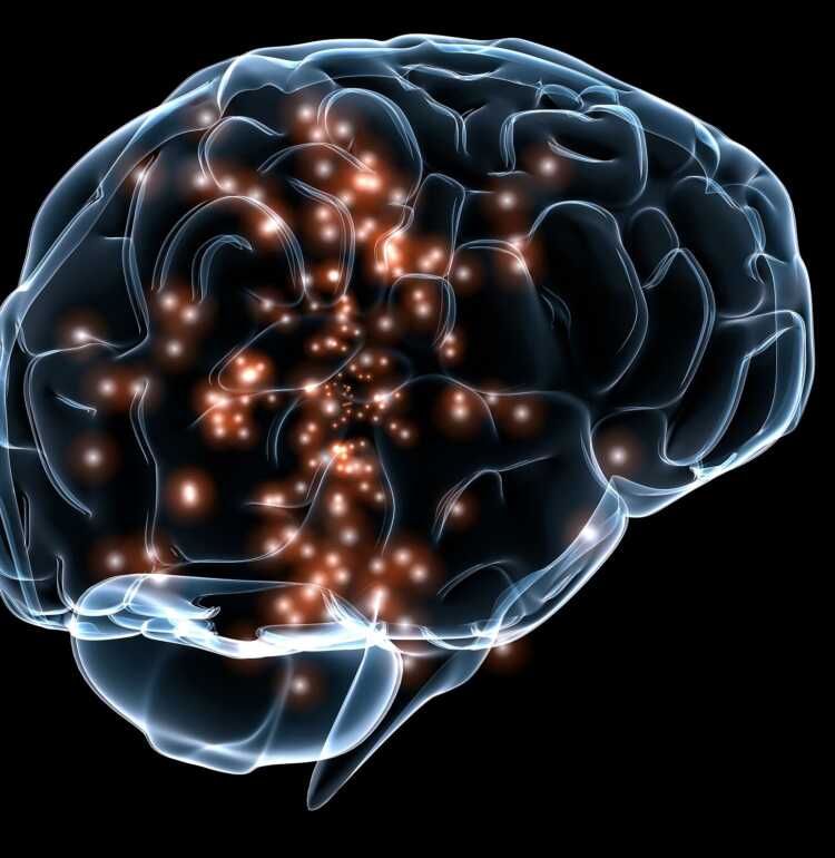 Work on DARPA’s Systems-Based Neurotechnology for Emerging Therapies (SUBNETS) program is set to begin with teams led by UC San Francisco (UCSF), and Massachusetts General Hospital (MGH).