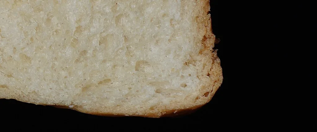 Close up of toast bread on neutral background