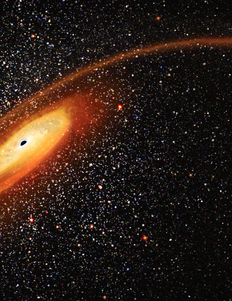 lllustration of Mid-Sized Black Hole Eating a Star