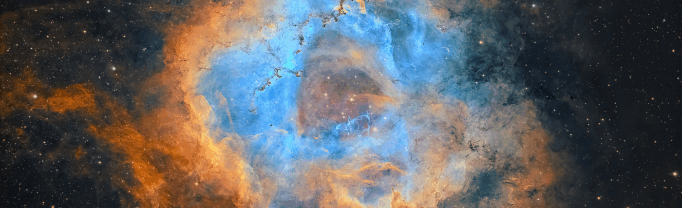 The Rosette Nebula - captured with narrowband filters and processed in the Hubble Palette. Captured by amateur astronomer Chuck Ayoub.
