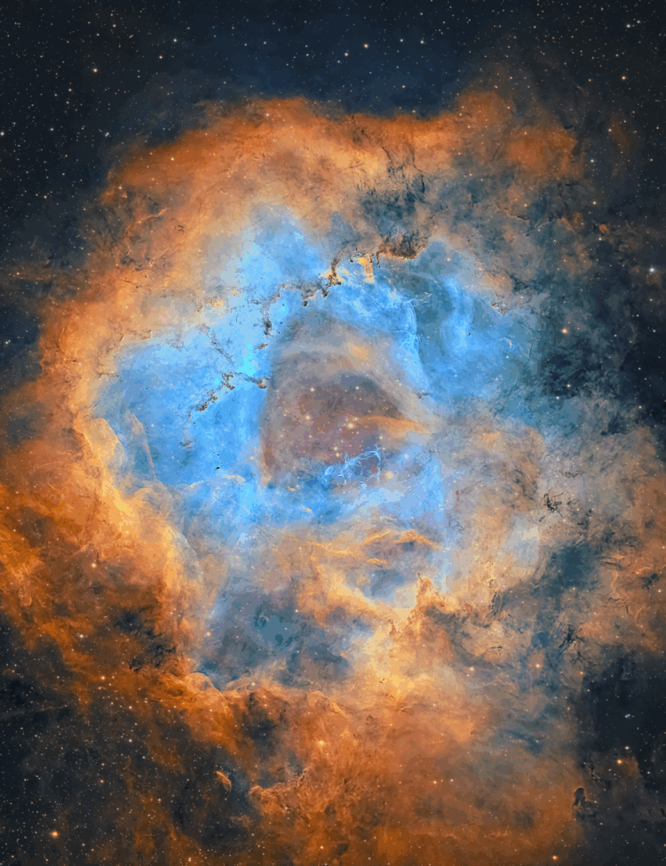 The Rosette Nebula - captured with narrowband filters and processed in the Hubble Palette. Captured by amateur astronomer Chuck Ayoub.