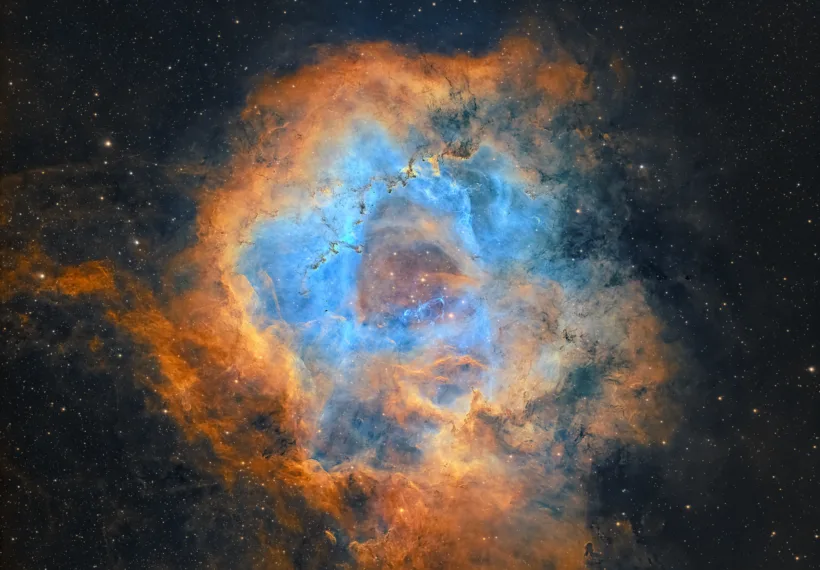 The Rosette Nebula - captured with narrowband filters and processed in the Hubble Palette. Captured by amateur astronomer Chuck Ayoub.