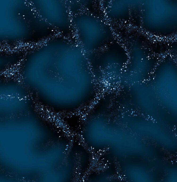 This image is a creative illustration that shows what scientists call "The Large Scale Structure of the Universe." It is heavily influenced by dark matter, which which acts as the underlying scaffolding that attracts and draws together normal matter.