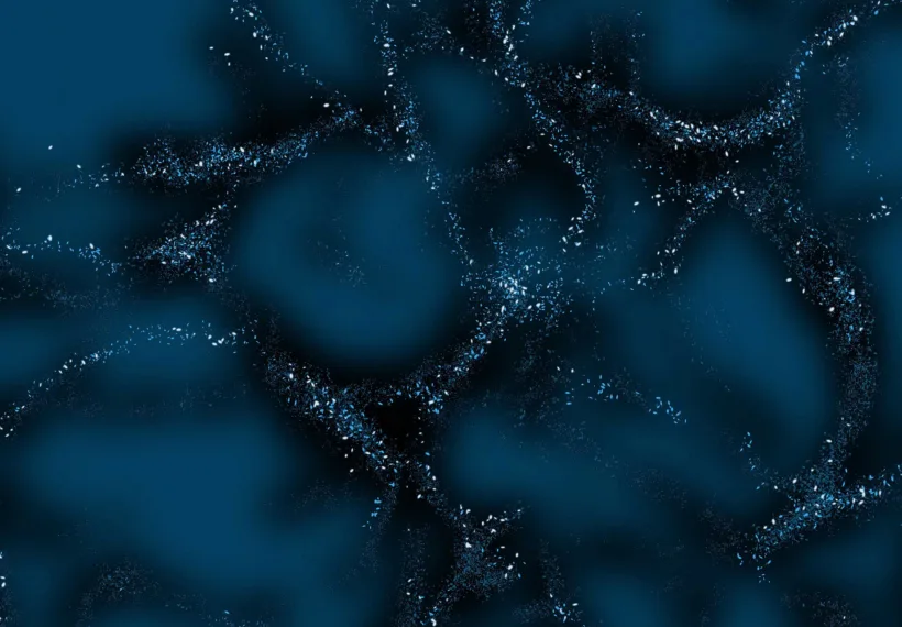 This image is a creative illustration that shows what scientists call "The Large Scale Structure of the Universe." It is heavily influenced by dark matter, which which acts as the underlying scaffolding that attracts and draws together normal matter.