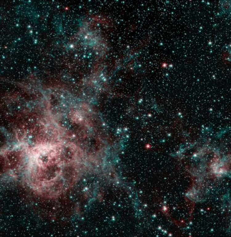 This image from NASA's Spitzer Space Telescope shows the Tarantula Nebula in two wavelengths of infrared light, each represented by a different color. The red color at the heart of the nebula shows the presence of particularly hot gas emitting infrared light at a wavelength of 4.5 micrometers. The blue regions are dust composed of molecules called polycyclic aromatic hydrocarbons (PAHs), which are also found in ash from coal, wood and oil fires on Earth. Regions emitting both wavelengths appear white.