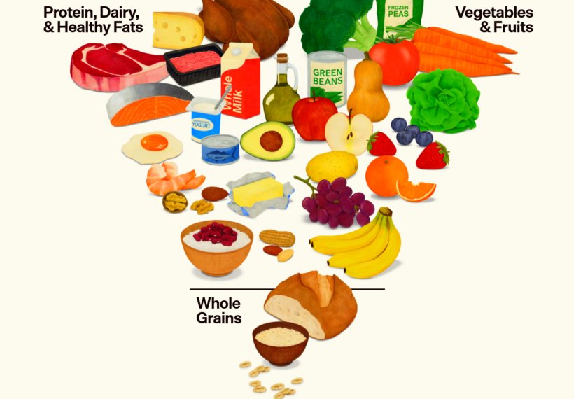 The food pyramid that is in endorsed in the 2026 U.S. "Eat Real Food" campaign