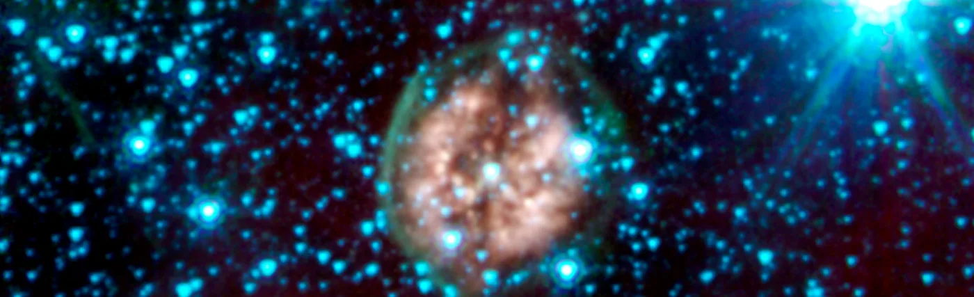 The brain-like orb called PMR 1 has been nicknamed the "Exposed Cranium" nebula by Spitzer scientists.