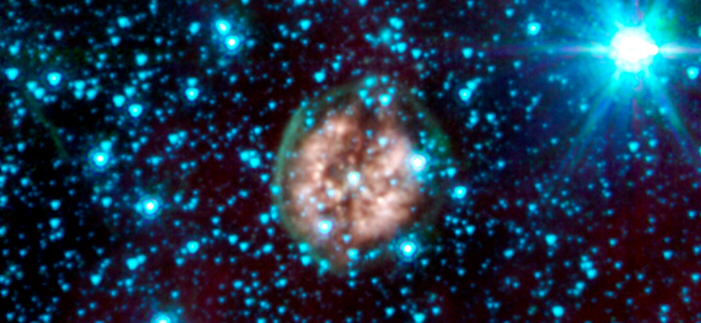 The brain-like orb called PMR 1 has been nicknamed the "Exposed Cranium" nebula by Spitzer scientists.