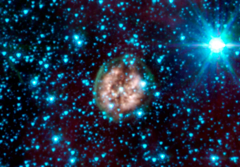 The brain-like orb called PMR 1 has been nicknamed the "Exposed Cranium" nebula by Spitzer scientists.