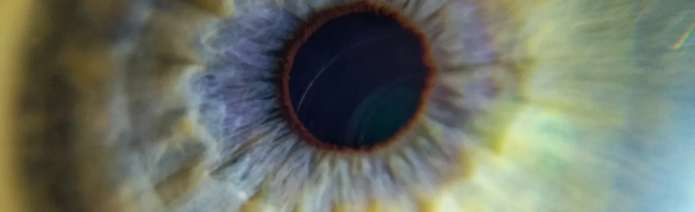 Human eye close up