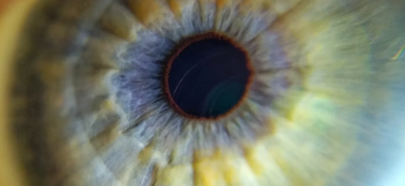 Human eye close up