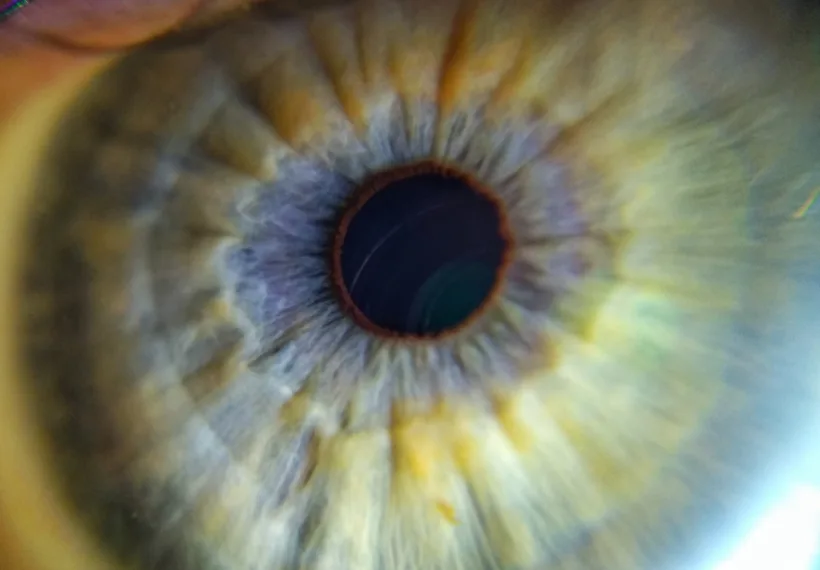Human eye close up